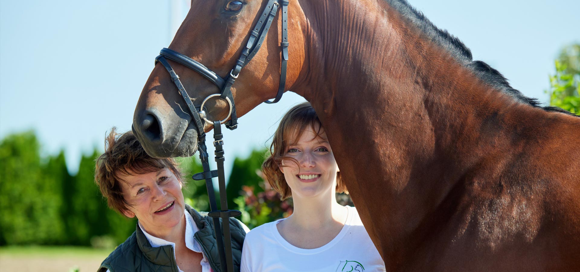 Über uns Barbara Wendelken ö.b.v Sachverständige für Pferde und Alpaka